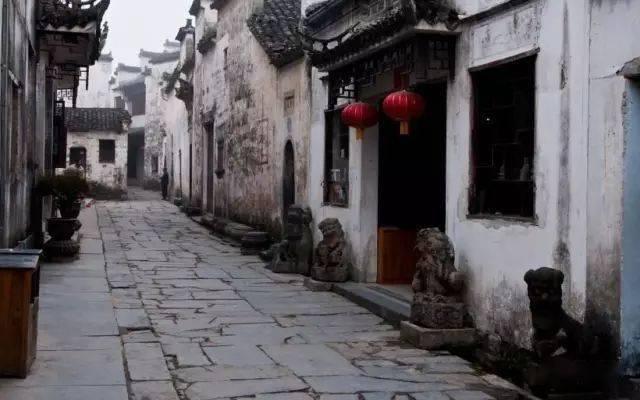 虫虫助手下载