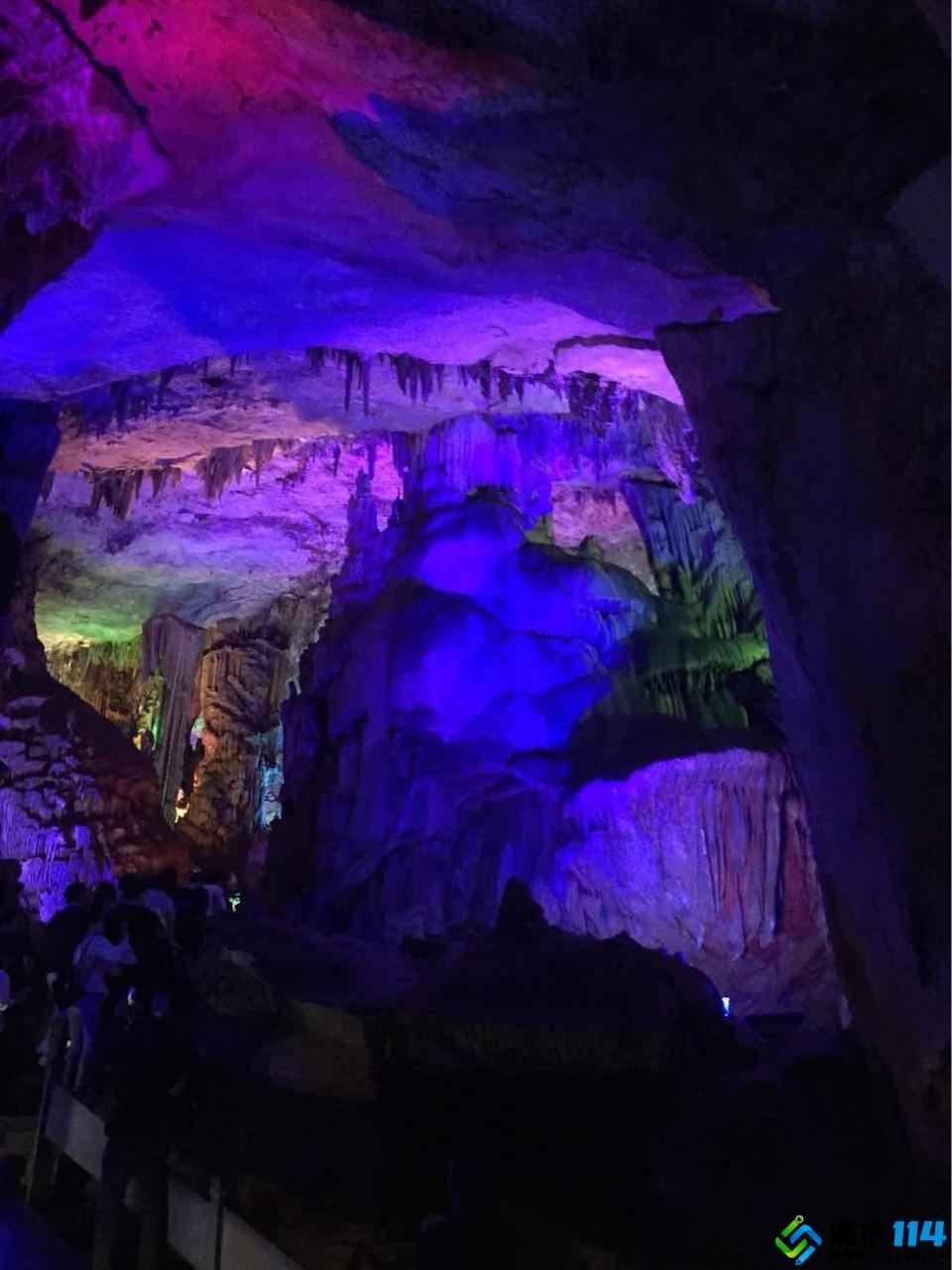 逃出猫头鹰岛